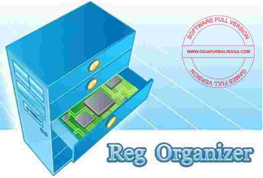 reg organizer download